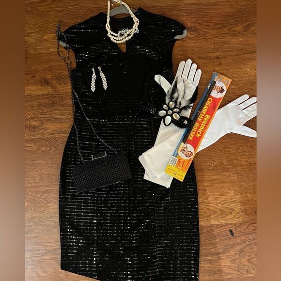 Roaring 20’s Flapper Costume and Accessories Halloween - Picture 1 of 8